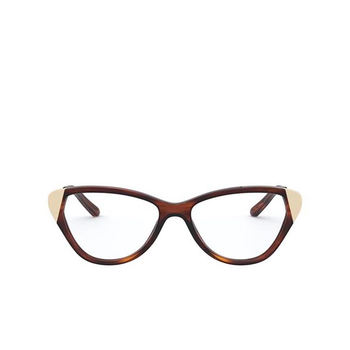 Ralph Lauren RL6191 Eyeglasses 5007 SHINY STRIPED HAVANA - front view