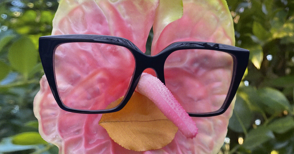 Balenciaga® Eyeglasses