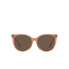 Burberry ALICE Sunglasses 317373 brown - product thumbnail 1/4