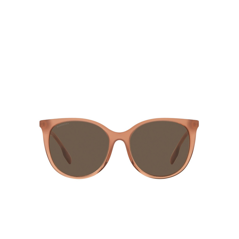 Gafas de sol Burberry ALICE 317373 brown - 1/4