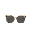 Burberry ALICE Sunglasses 350187 spotted horn - product thumbnail 1/4