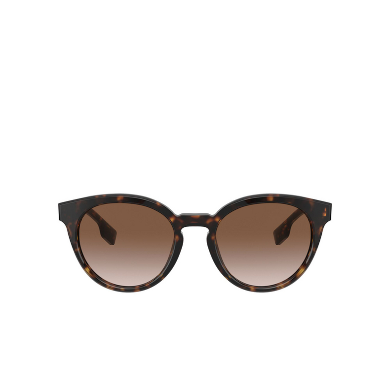 Burberry AMELIA Sunglasses 300213 dark havana - 1/4