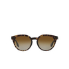 Burberry AMELIA Sunglasses 3002T5 dark havana - product thumbnail 1/4
