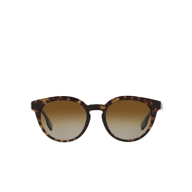 Burberry AMELIA Sunglasses 3002T5 dark havana - 1/4