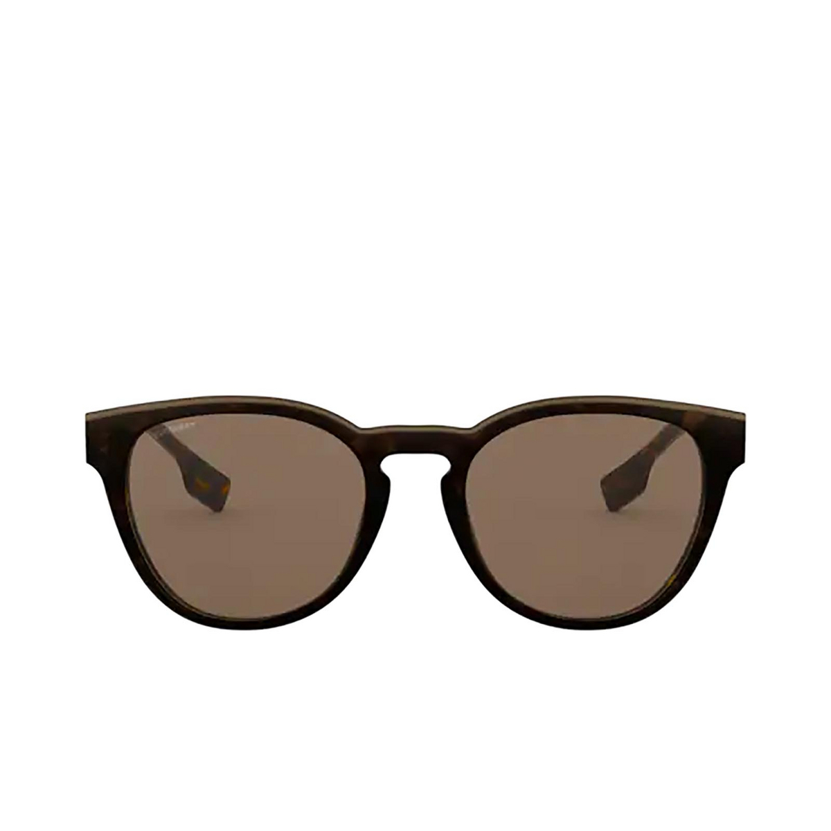 Burberry BARTLETT Sunglasses 385173 Transparent Grey on Havana - front view