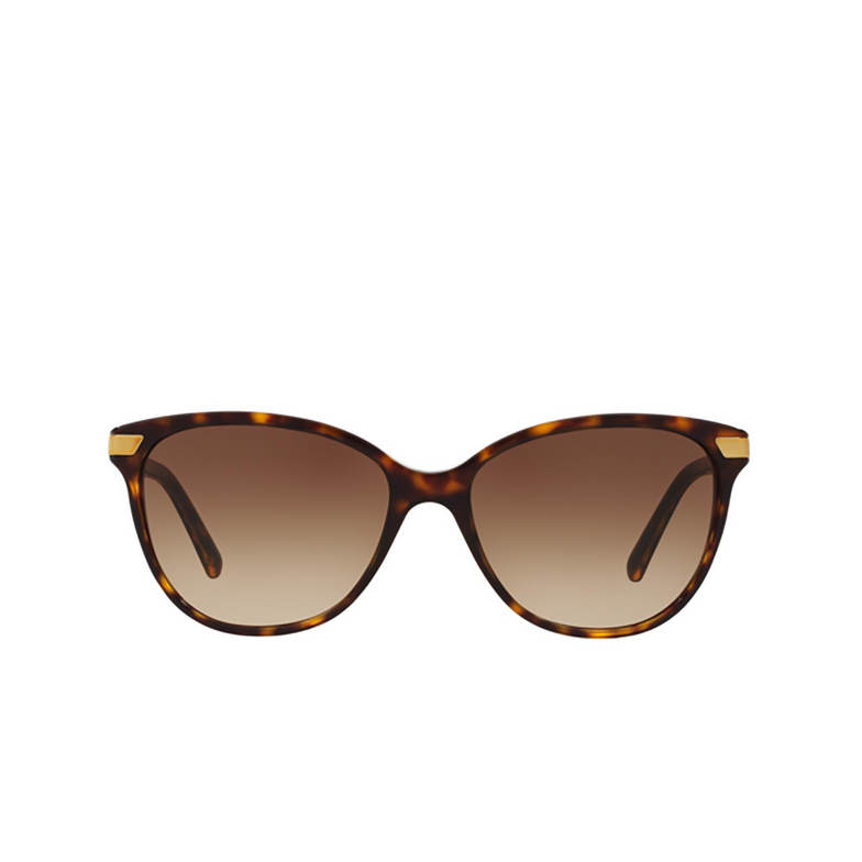 Burberry BE4216 Sunglasses 300213 dark havana - 1/4