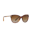 Burberry BE4216 Sunglasses 3316T5 light havana - product thumbnail 2/4