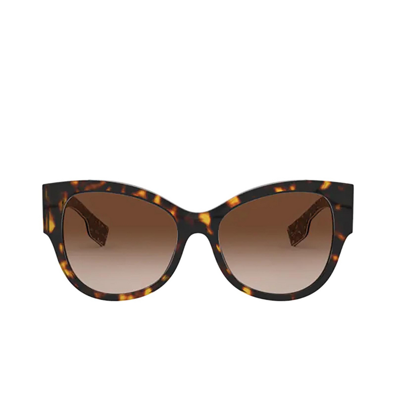 Burberry BE4294 Sunglasses 390413 dark havana - 1/4