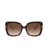 Gafas de sol Burberry CAROLL 385413 dark havana - Miniatura del producto 1/4