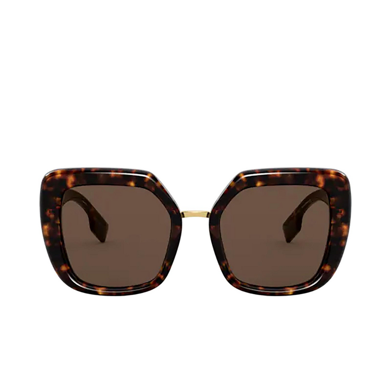 Burberry CHARLOTTE Sunglasses 300273 dark havana - 1/4