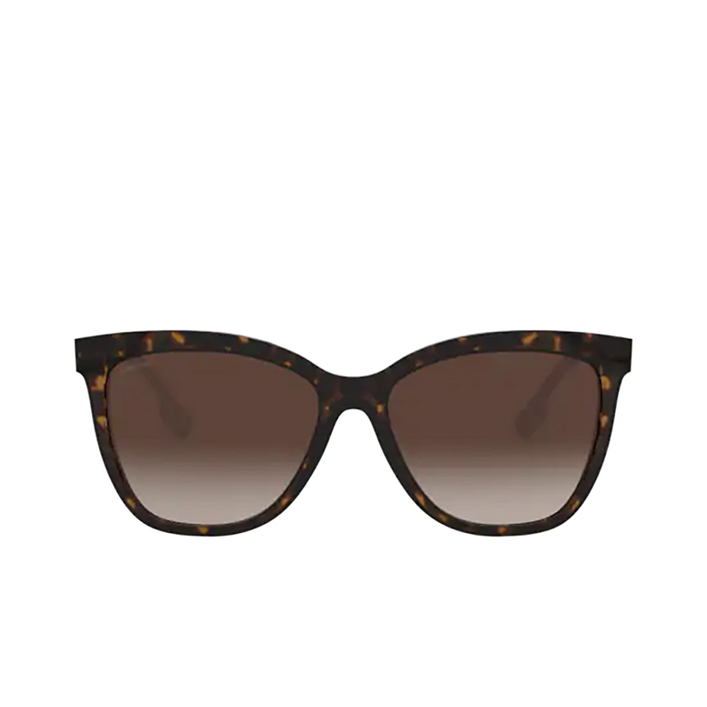 Burberry CLARE Sunglasses 385413 dark havana - 1/4