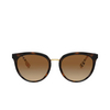 Burberry WILLOW Sunglasses 3854T5 dark havana - product thumbnail 1/4