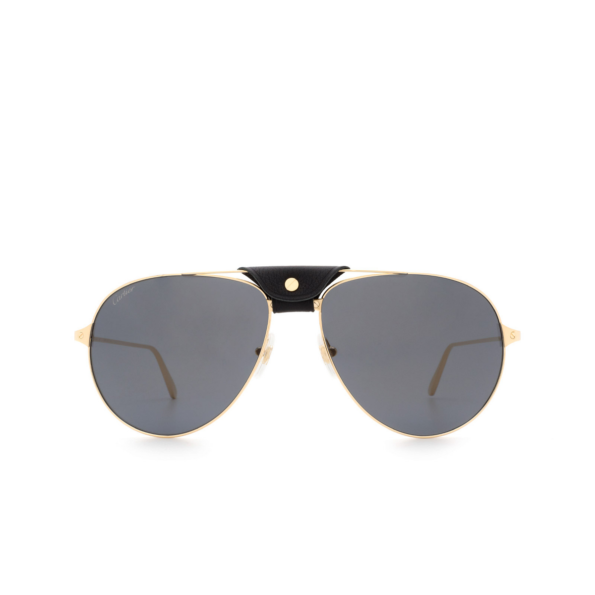 Cartier CT0038S Sunglasses - Mia Burton