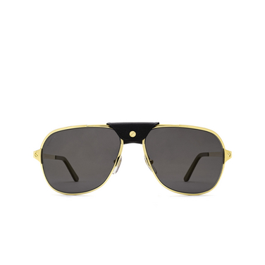 Cartier CT0165S Sunglasses 002 gold - front view