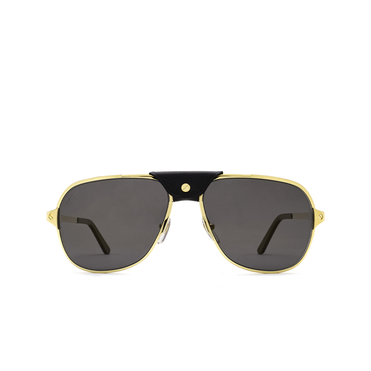 Cartier CT0165S Sunglasses 002 Gold - front view