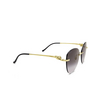 Cartier CT0269S Sunglasses 001 gold - product thumbnail 2/4