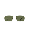 Cartier CT0271S Sunglasses 002 gold - product thumbnail 1/4