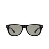 Cartier CT0277S Sunglasses 002 havana - product thumbnail 1/5
