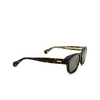 Cartier CT0278S Sunglasses 002 havana - product thumbnail 2/4