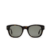 Cartier CT0278S Sunglasses 002 havana - product thumbnail 1/4