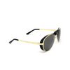 Cartier CT0296S Sunglasses 001 gold - product thumbnail 2/5