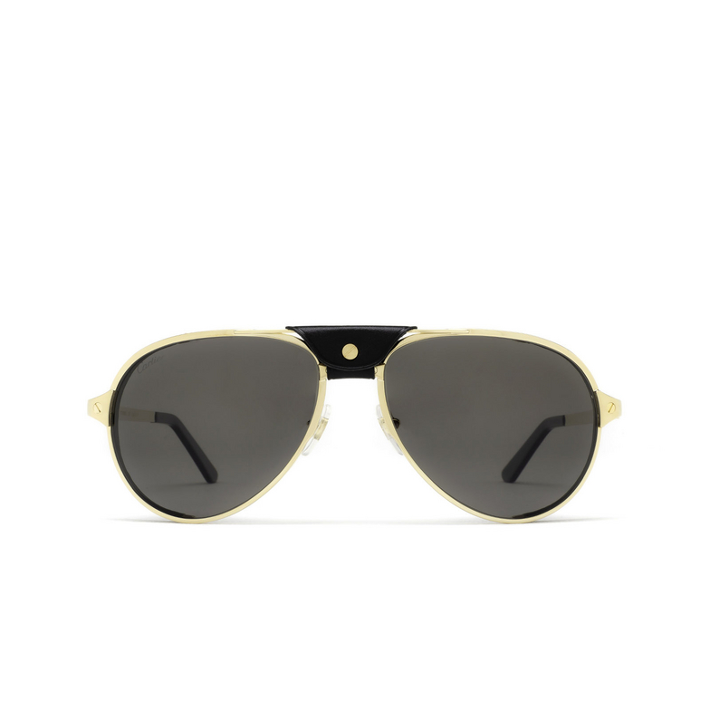 Cartier CT0296S Sunglasses 001 gold - 1/5