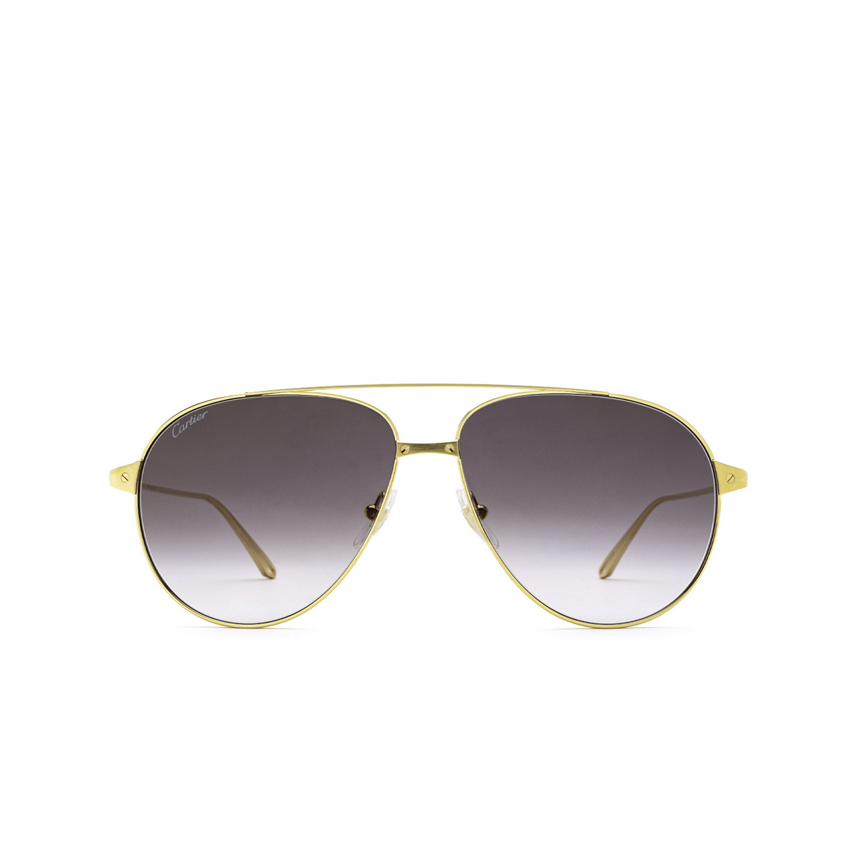 Cartier CT0298S Sunglasses 006 Gold - front view