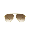 Cartier CT0298S Sunglasses 007 gold - product thumbnail 1/4