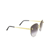 Cartier CT0301S Sunglasses 001 gold - product thumbnail 2/5