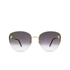 Cartier CT0301S Sunglasses 001 gold - product thumbnail 1/5