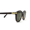 Cartier CT0302S Sunglasses 002 havana - product thumbnail 3/5