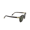 Cartier CT0302S Sunglasses 006 havana - product thumbnail 2/4