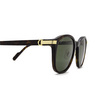 Cartier CT0302S Sunglasses 006 havana - product thumbnail 3/4
