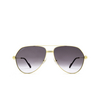 Cartier CT0303S Sunglasses 001 gold - product thumbnail 1/4
