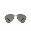 Cartier CT0303S Sunglasses 004 gold - product thumbnail 1/5