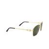 Cartier CT0306S Sunglasses 002 gold - product thumbnail 2/4