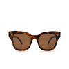 Chimi #005 Sunglasses TRT tortoise - product thumbnail 1/5