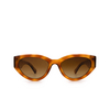 Gafas de sol Chimi 06 HAVANA - Miniatura del producto 1/4