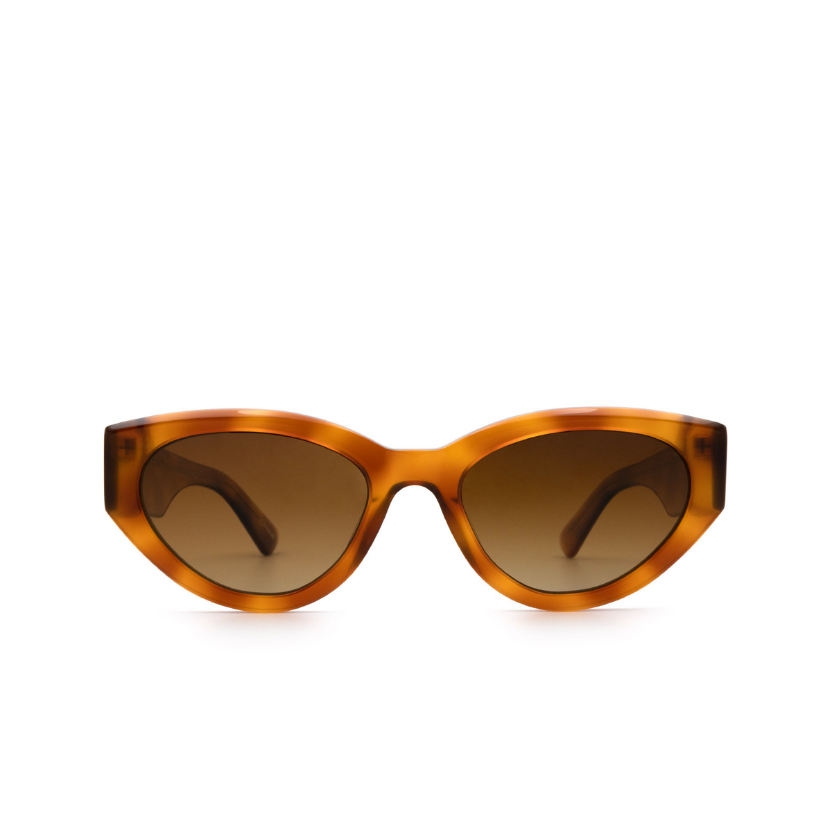 Chimi 06 Sunglasses HAVANA - front view