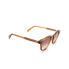 Gafas de sol Chimi #102 BROWN brown cinnamon - Miniatura del producto 2/4
