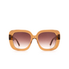 Gafas de sol Chimi #108 BROWN - Miniatura del producto 1/4