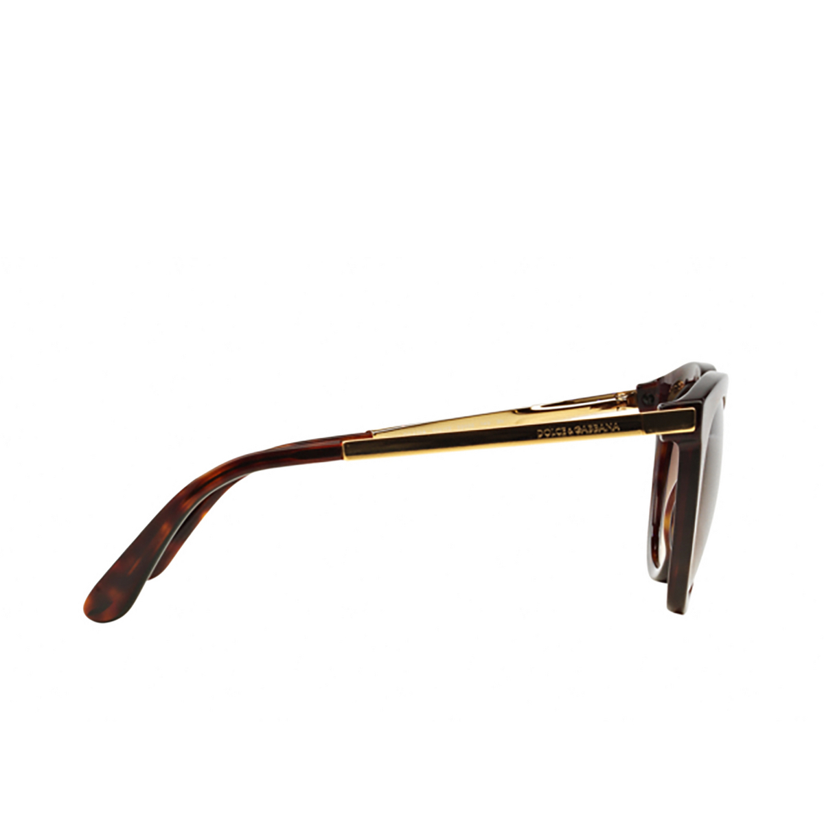 Dolce & Gabbana® Round Sunglasses: DG4268 color 502/13 Havana - product thumbnail 3/3