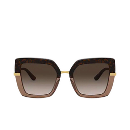 Dolce & Gabbana® Square Sunglasses: DG4373 color 325613 Havana On Transparent Brown 