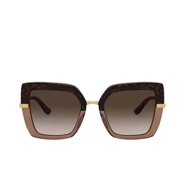 Occhiali da sole Dolce & Gabbana DG4373 325613 havana on transparent brown - 1/4