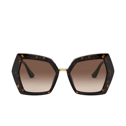 Dolce & Gabbana® Butterfly Sunglasses: DG4377 color 502/13 Havana 