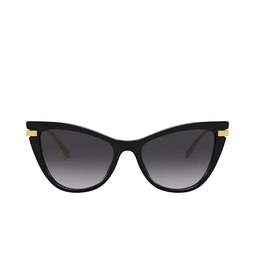 Dolce & Gabbana® Cat-eye Sunglasses: DG4381 color 501/8G Black 