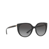 Dolce & Gabbana DG6119 Sunglasses 501/8G black - product thumbnail 2/4