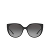 Dolce & Gabbana DG6119 Sunglasses 501/8G black - product thumbnail 1/4
