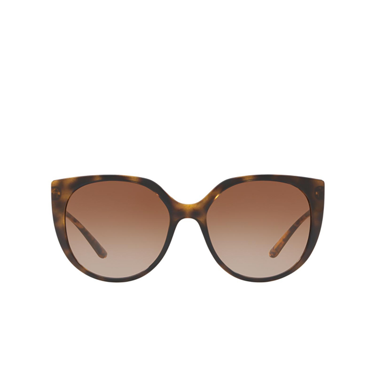 Dolce & Gabbana® Butterfly Sunglasses: DG6119 color Havana 502/13 - 1/3.