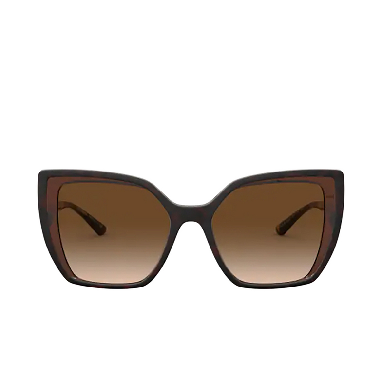 Dolce & Gabbana DG6138 Sunglasses 318513 havana on transparent brown - 1/4